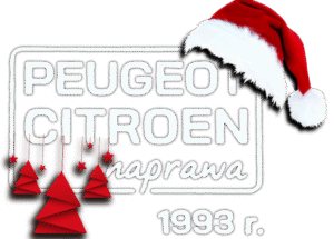 peugeot_citroen_naprawa_w Pile